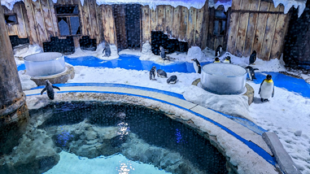 Thủy Cung Vinpearl Land Phú Quốc