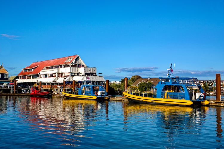Steveston Harbour