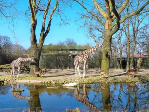 哈根貝克動物園