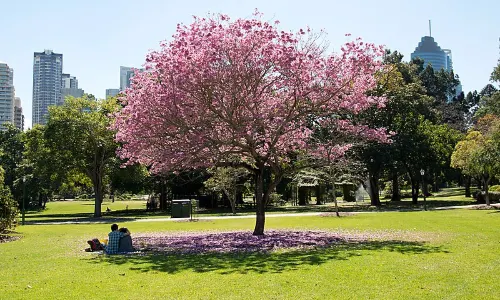 City Botanic Gardens