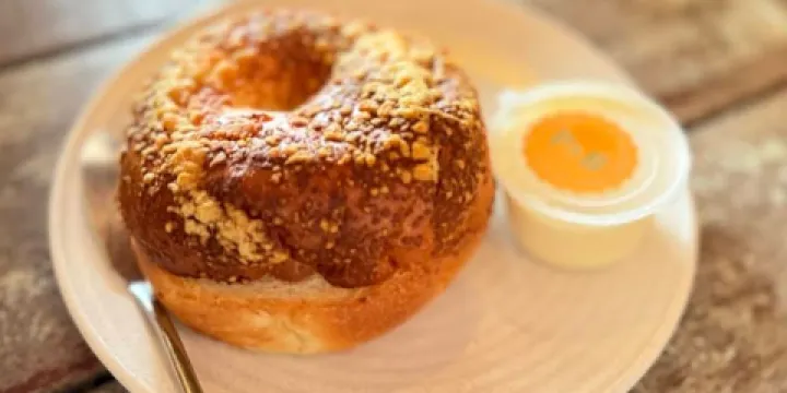 Palates & Bagels by T.A.M