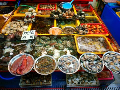 台北飛釜山的時間