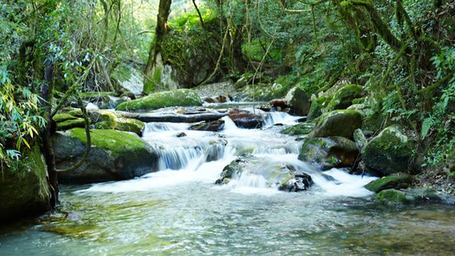 Tea Horse Ancient Path Scenic Area