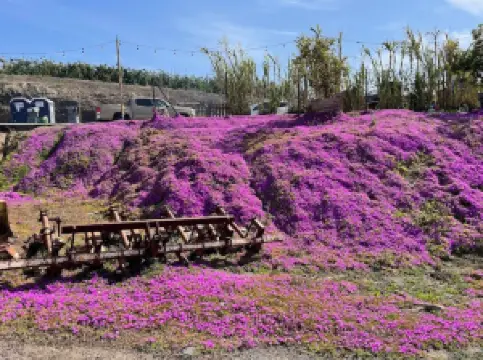 ฟาร์มทานากะ