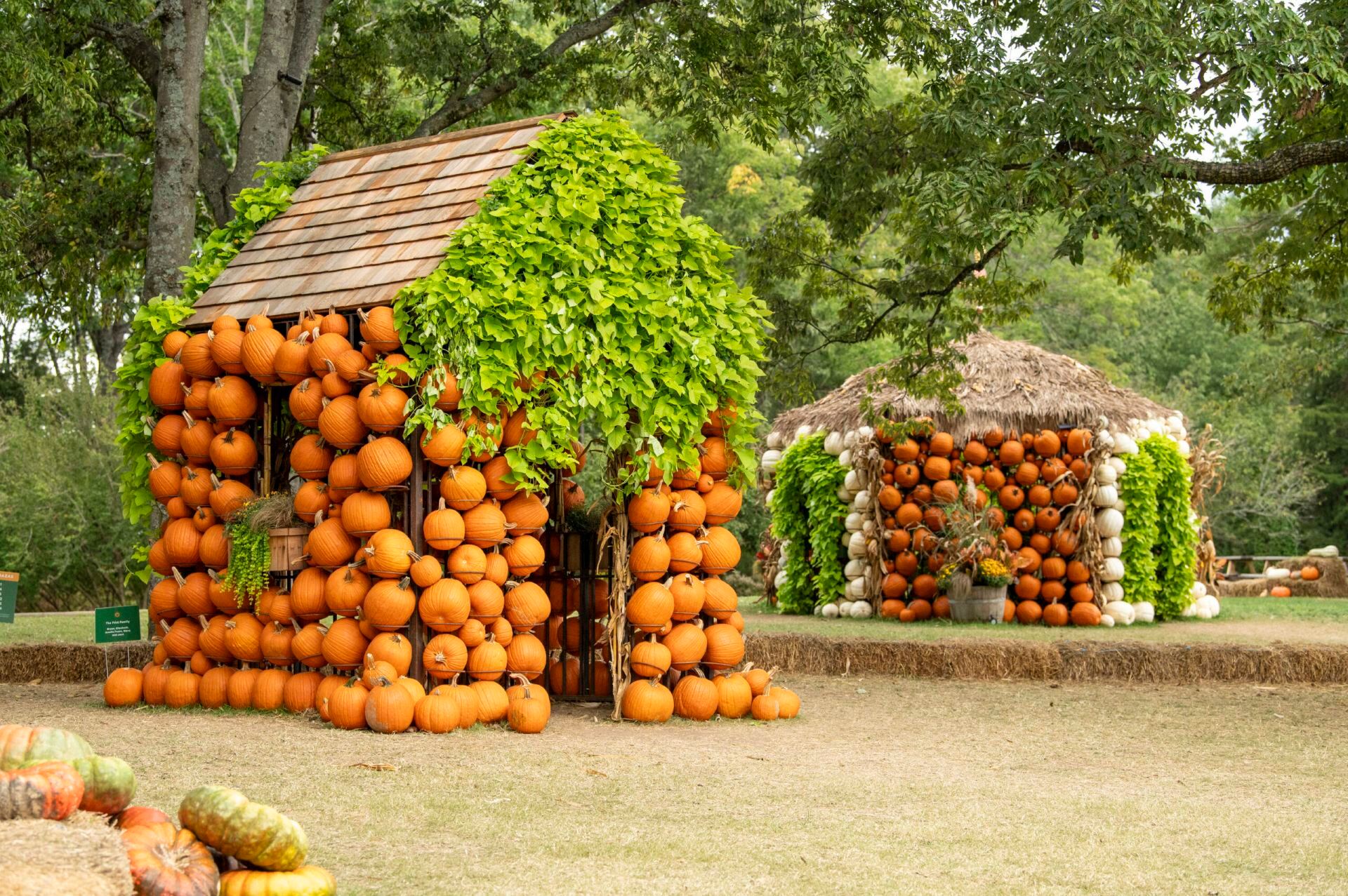 Cheekwood Harvest | Nashville