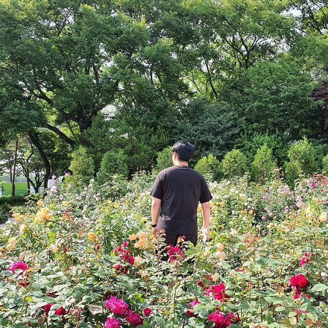예쁜 꽃들이 기다리고 있는 곳