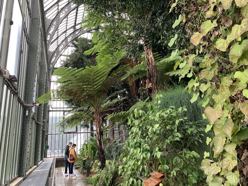 Jardin des Plantes