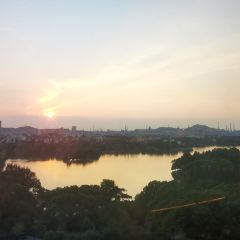 马鞍山金鷹尚美酒店張用戶圖片