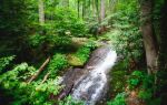 Jiuzhen Mountain Scenic Area