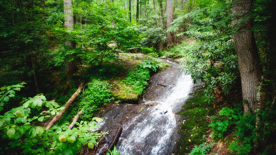 Mazongling Nature Reserve