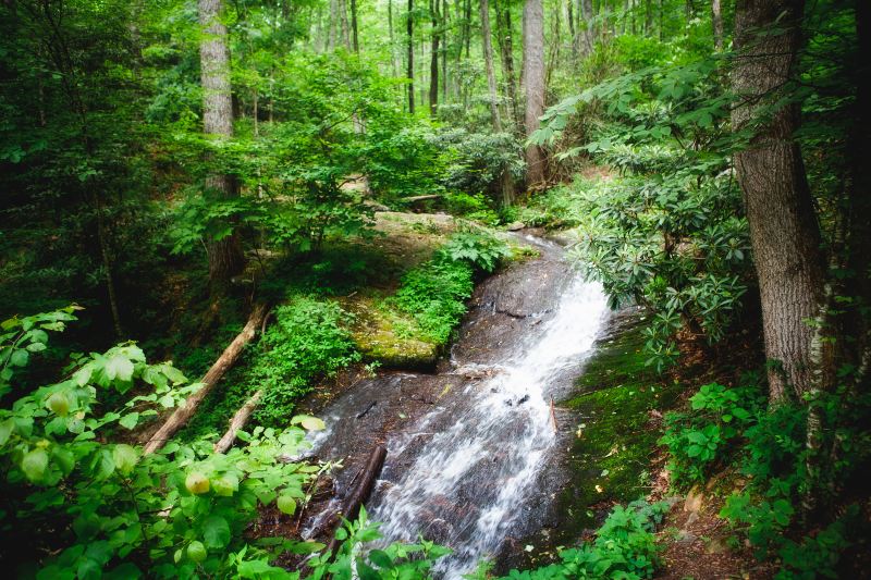 Jiuzhen Mountain Scenic Area