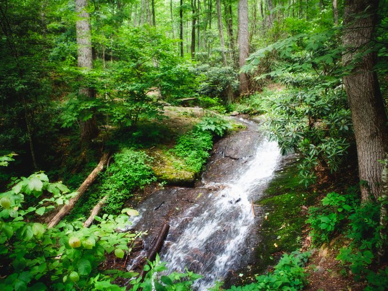 Jiuzhen Mountain Scenic Area