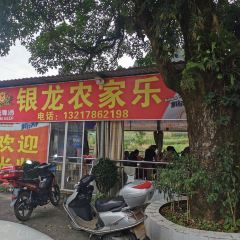 银龙农家乐 User Photo