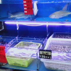 金色海湾海鲜排档 User Photo