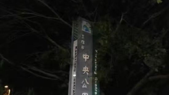 高雄的中央公園捷運站，距離美麗島捷運站就一站的距離，步行也不