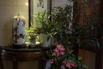Yu Zhi Lan user photo
