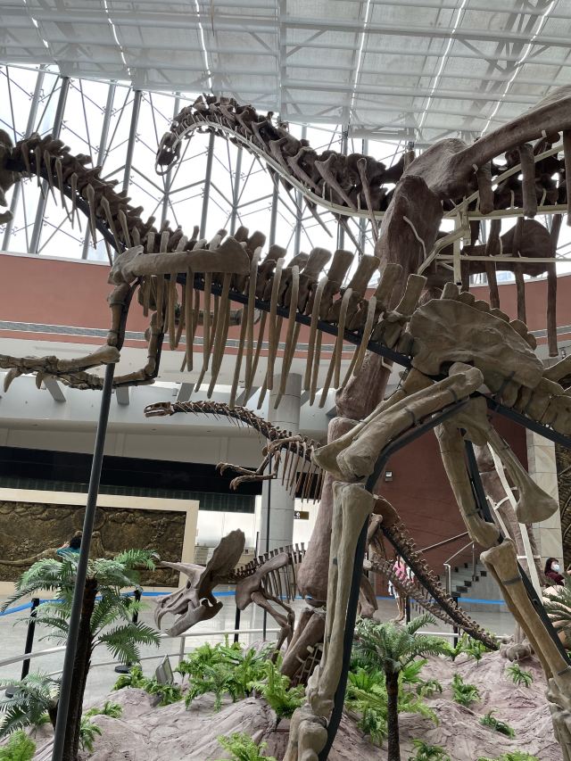 Heyuan City Museum (Heyuan Dinosaur Museum)