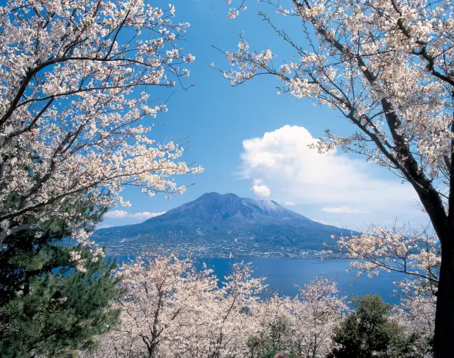 Volcano Views in Kagoshima