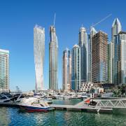 Природа / дикая природа