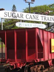 Sugar Cane Train Maui (Lahaina, Kaanapali & Pacific Railroad)