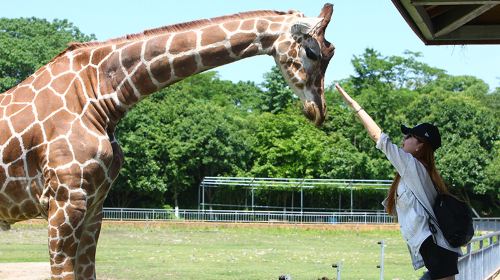 寧波野生動物園