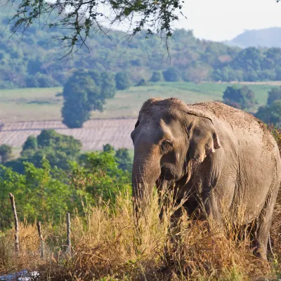Авиабилеты Нандед Порт-Блэр