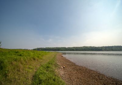 Принцесса Лейк естественный водно-болотный парк