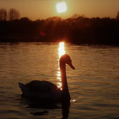 Хоумстей в г. Сандакан