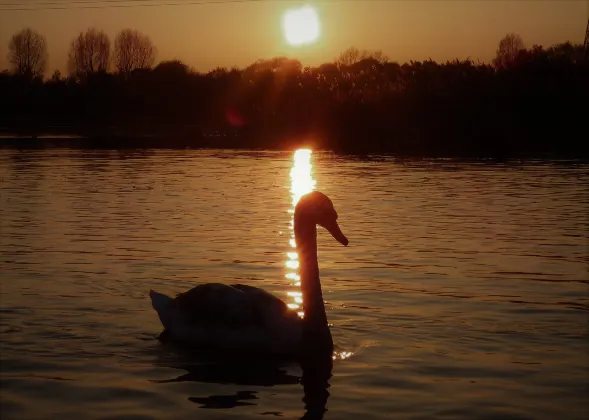 Хоумстей в г. Донггонгон