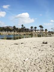 Playa de la Malagueta (Málaga)