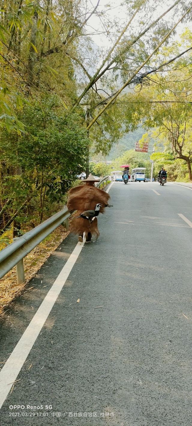 싱핑구전(흥평고진)