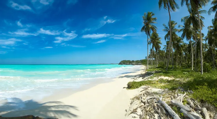 Vé máy bay Zanzibar Luân-Đôn