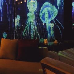YEGIN BAR User Photo