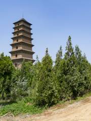 Fawang Pagoda, Xianyou Temple