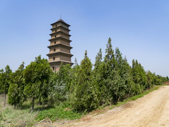 Fawang Pagoda, Xianyou Temple