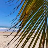 Sanya Bay beach