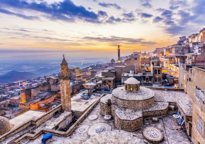 Mardin