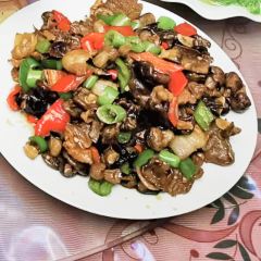 张北坝上草原聚汗轩农庄 User Photo