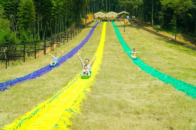 Grass Sledging in Mogan Mountain