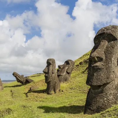 Altiplanico Rapa Nui