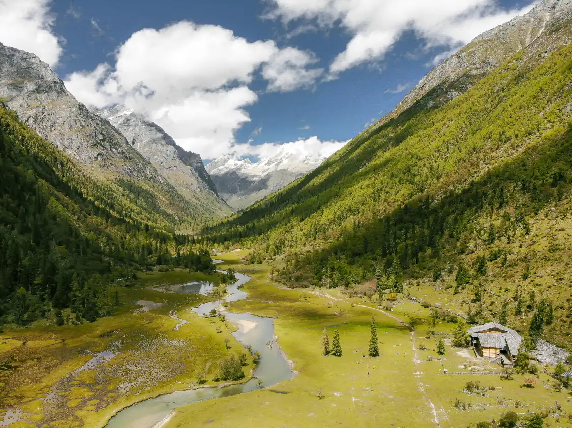 Hotels near Wolong Town