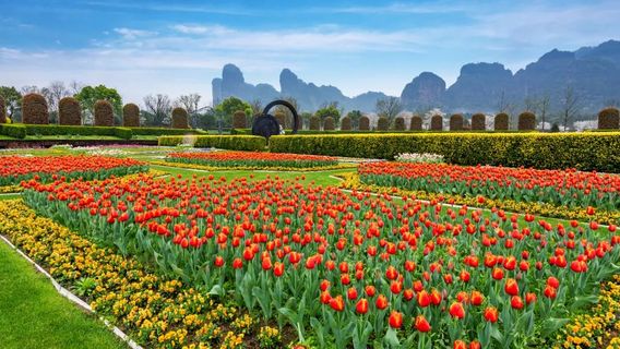 Longhu Mountain Flower LanguageWworld Scenic Spot