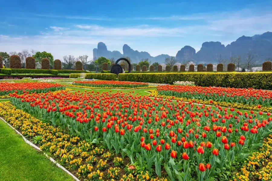 Longhu Mountain Flower LanguageWworld Scenic Spot