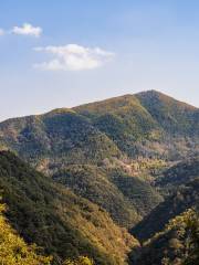 Zhongpo Mountain Forest Park