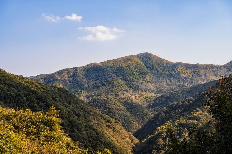 Zhongpo Mountain Forest Park