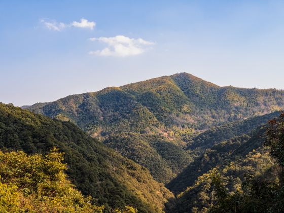 Zhongpo Mountain Forest Park