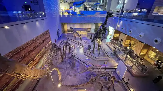 廣東省立博物館+廣東科學中心+黃埔軍校舊址紀念館一日親子研學遊