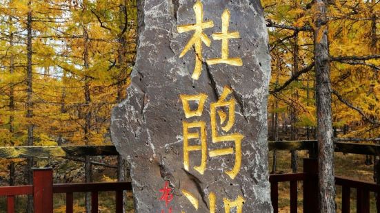 阿爾山杜鵑湖，湖面呈月芽形，它是火山噴發期由於熔岩壅塞河谷切