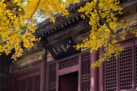 Hotels near Jinci Museum