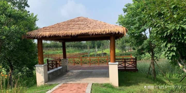 Yuhu Wetland Park